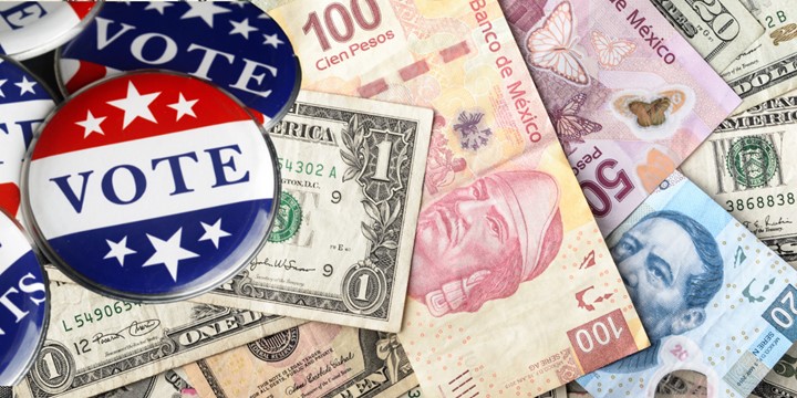 FX Risk and Currency Markets in a US Election Year